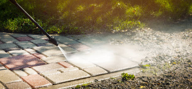 Best Patio and Deck Pressure Washing  in Cass City, MI