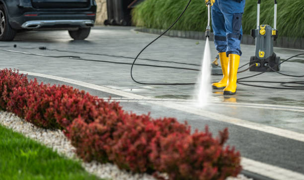 Professional Pressure Washing Services in Cass City, MI