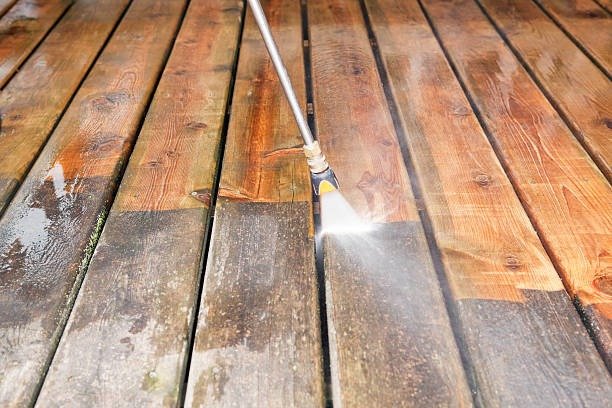 Best Fence Cleaning  in Cass City, MI