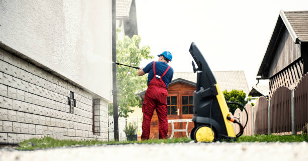 Best Graffiti Removal  in Cass City, MI